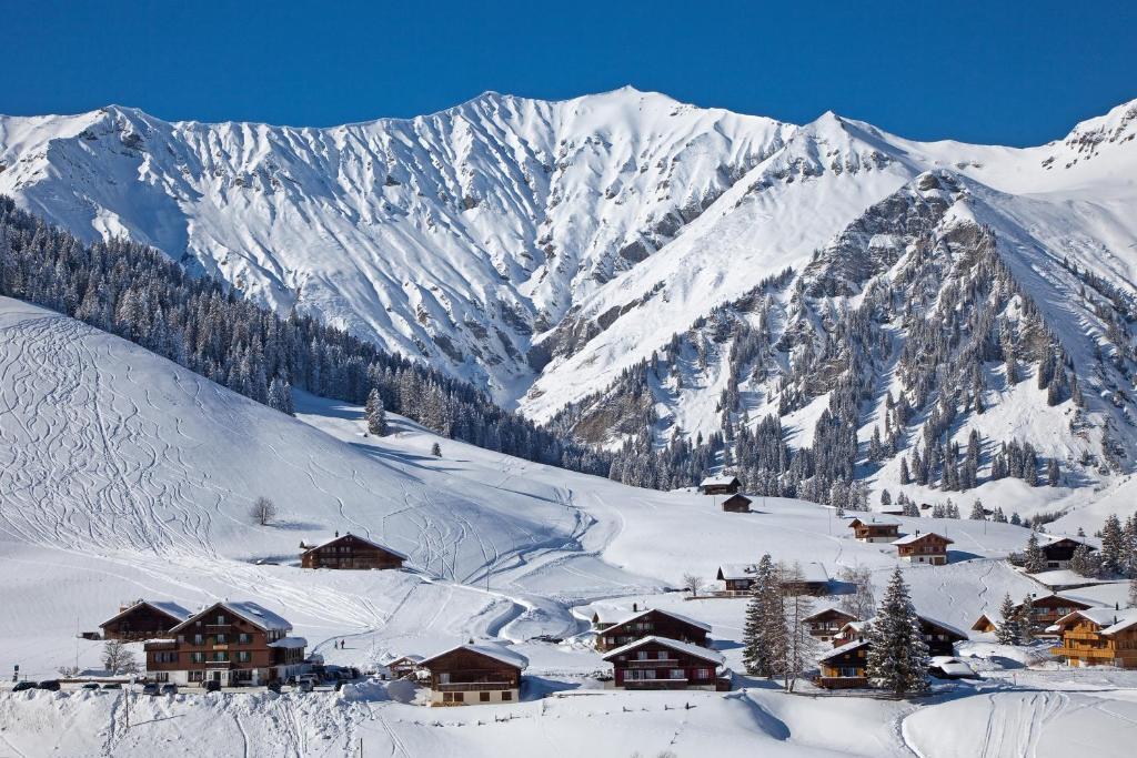 Hotel Des Alpes Адельбоден Екстер'єр фото