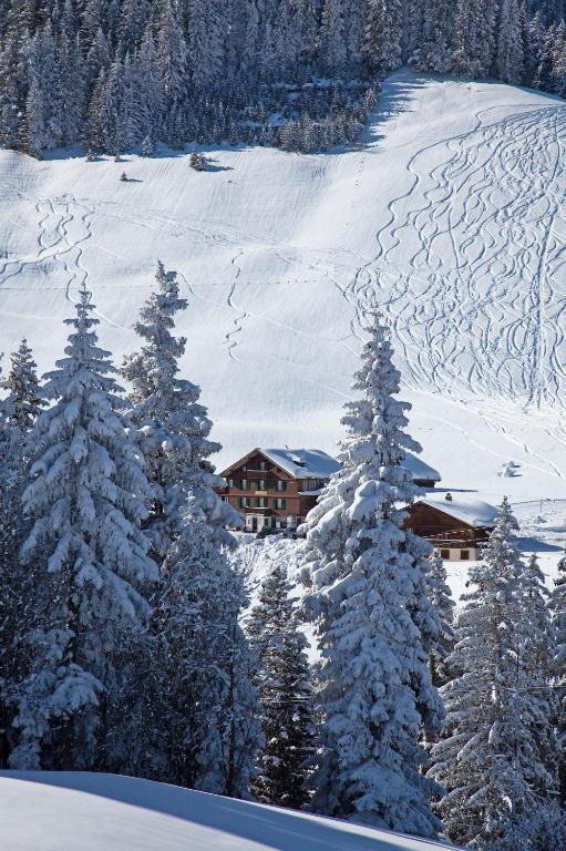 Hotel Des Alpes Адельбоден Екстер'єр фото