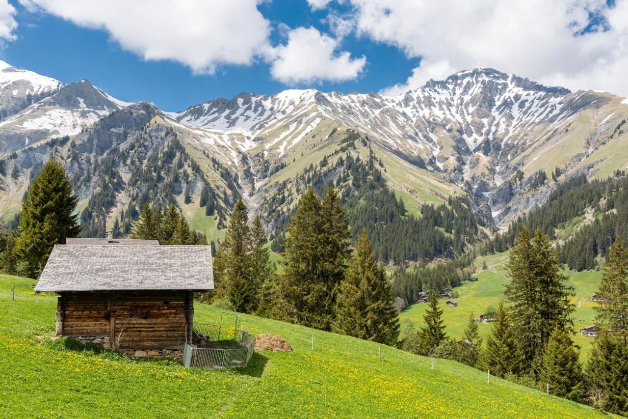Hotel Des Alpes Адельбоден Екстер'єр фото